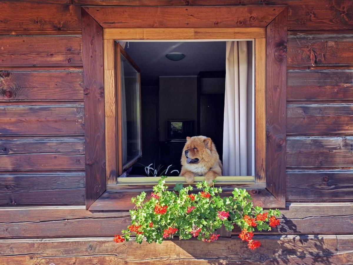 Czarna Owca Bed & Breakfast Istebna Dış mekan fotoğraf