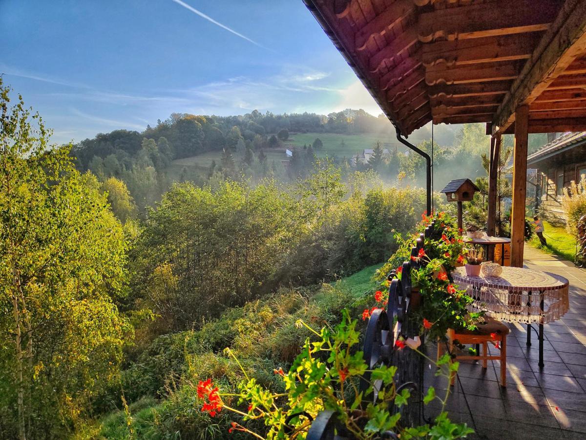 Czarna Owca Bed & Breakfast Istebna Dış mekan fotoğraf