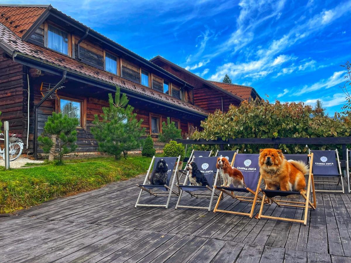 Czarna Owca Bed & Breakfast Istebna Dış mekan fotoğraf