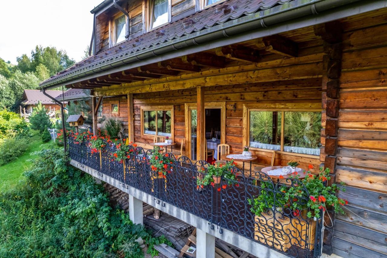 Czarna Owca Bed & Breakfast Istebna Dış mekan fotoğraf