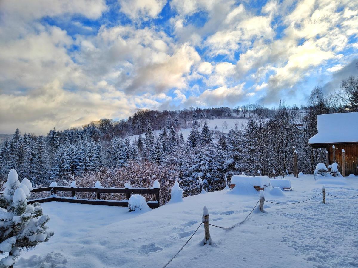 Czarna Owca Bed & Breakfast Istebna Dış mekan fotoğraf