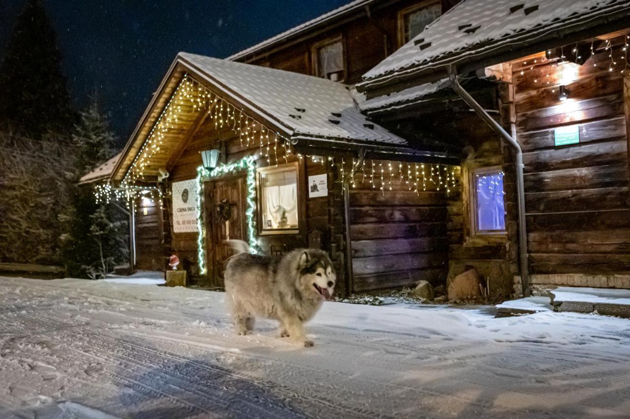 Czarna Owca Bed & Breakfast Istebna Dış mekan fotoğraf