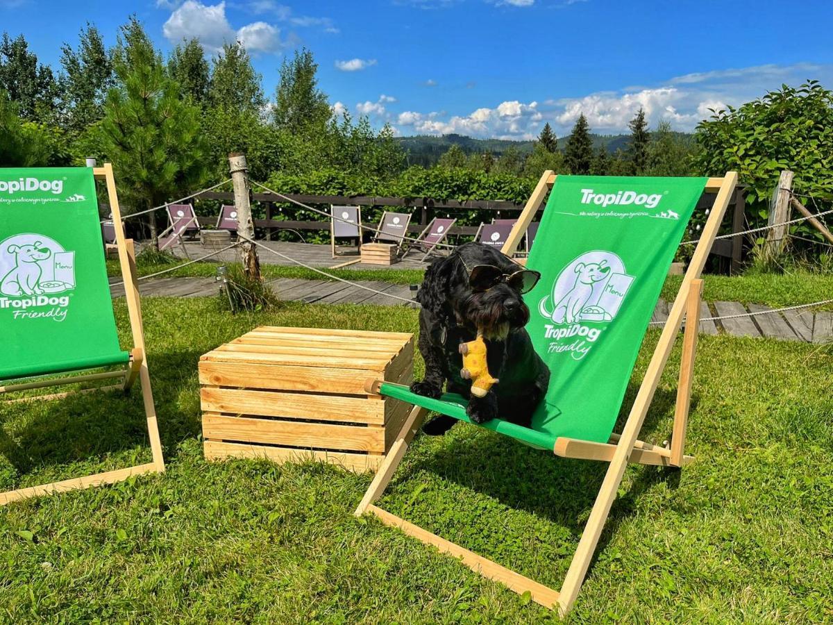 Czarna Owca Bed & Breakfast Istebna Dış mekan fotoğraf