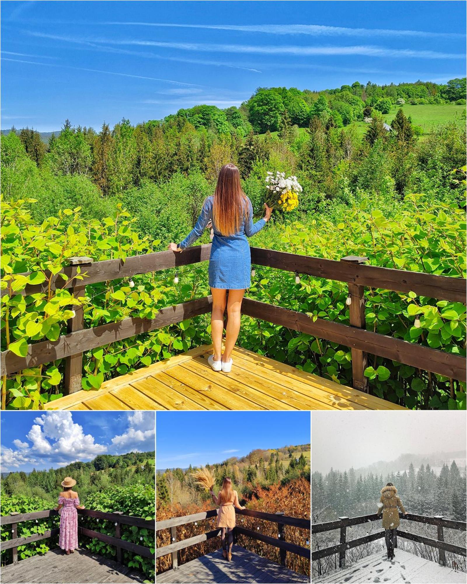 Czarna Owca Bed & Breakfast Istebna Dış mekan fotoğraf
