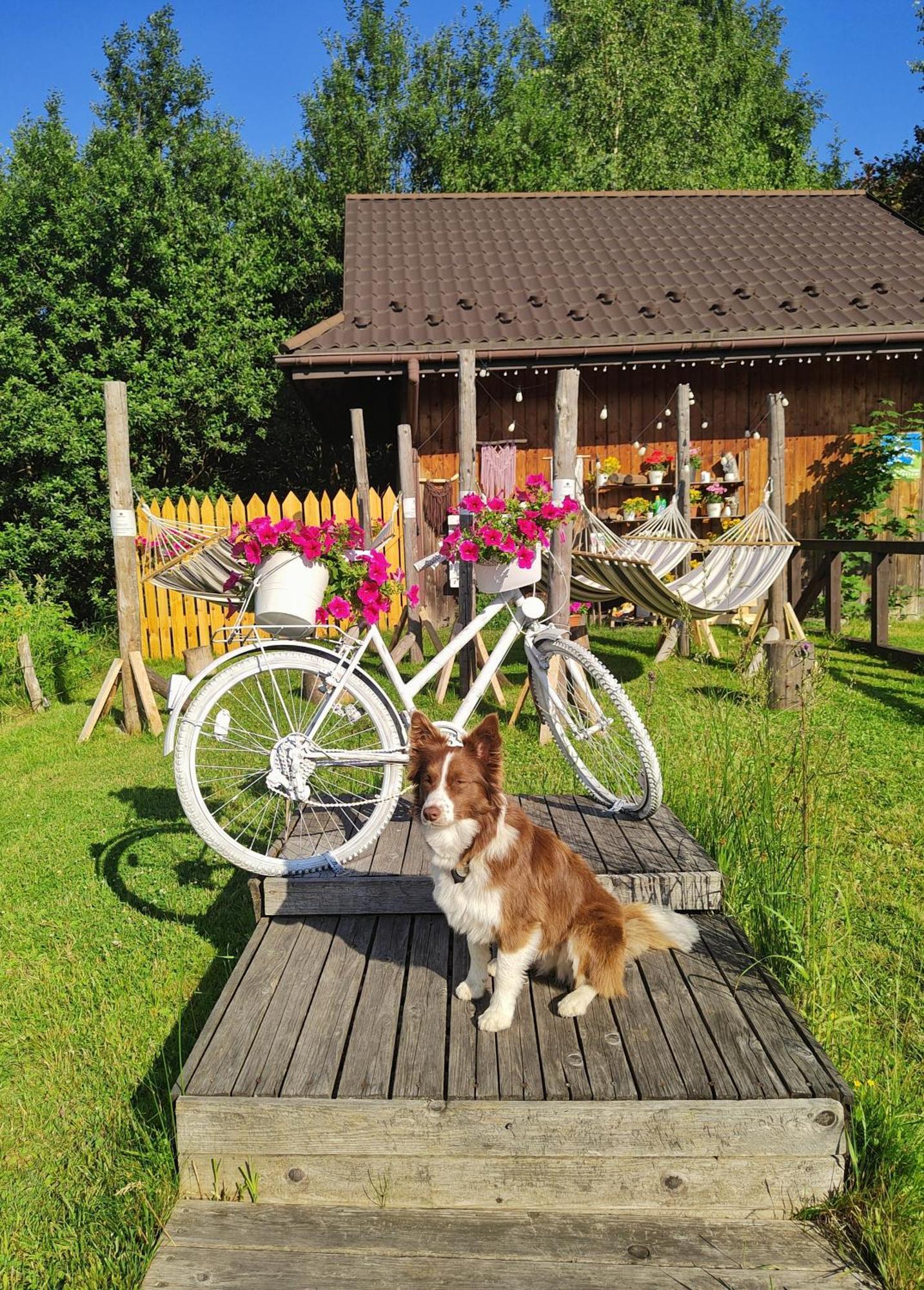 Czarna Owca Bed & Breakfast Istebna Dış mekan fotoğraf